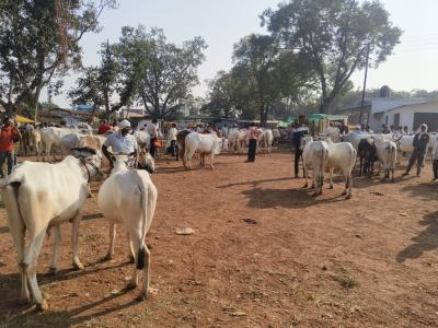 Whatsapp Image 2025 11 17 At 11.03.08 Am