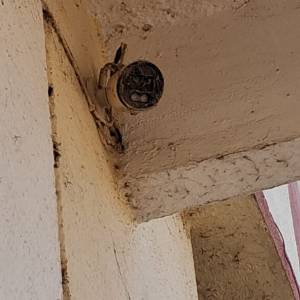 ef375cc7-31d9-4cc1-94ad-b83a92737b4e_original_copy_1